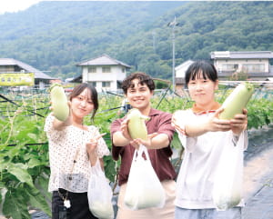 健康栄養学科 画像